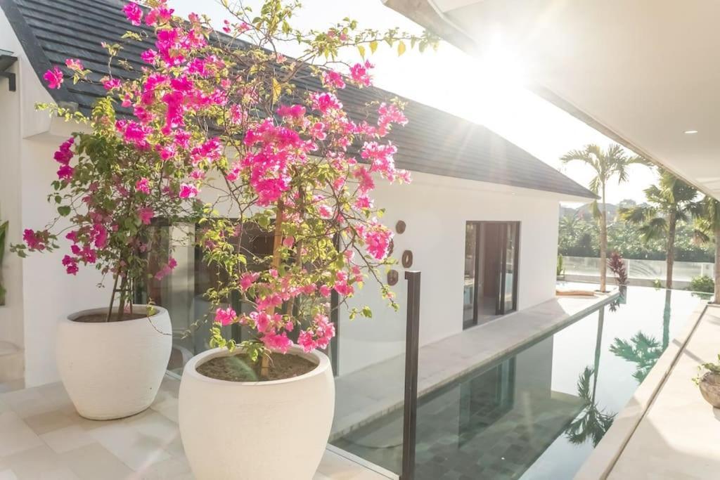 Villa Hakem Elegant And Modern 4 Bedrooms Villa Pool View Canggu  Bagian luar foto